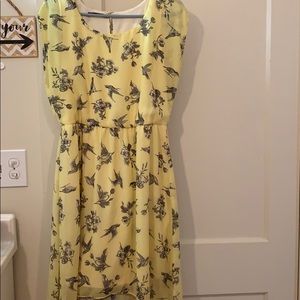 Yellow bird dress NWT